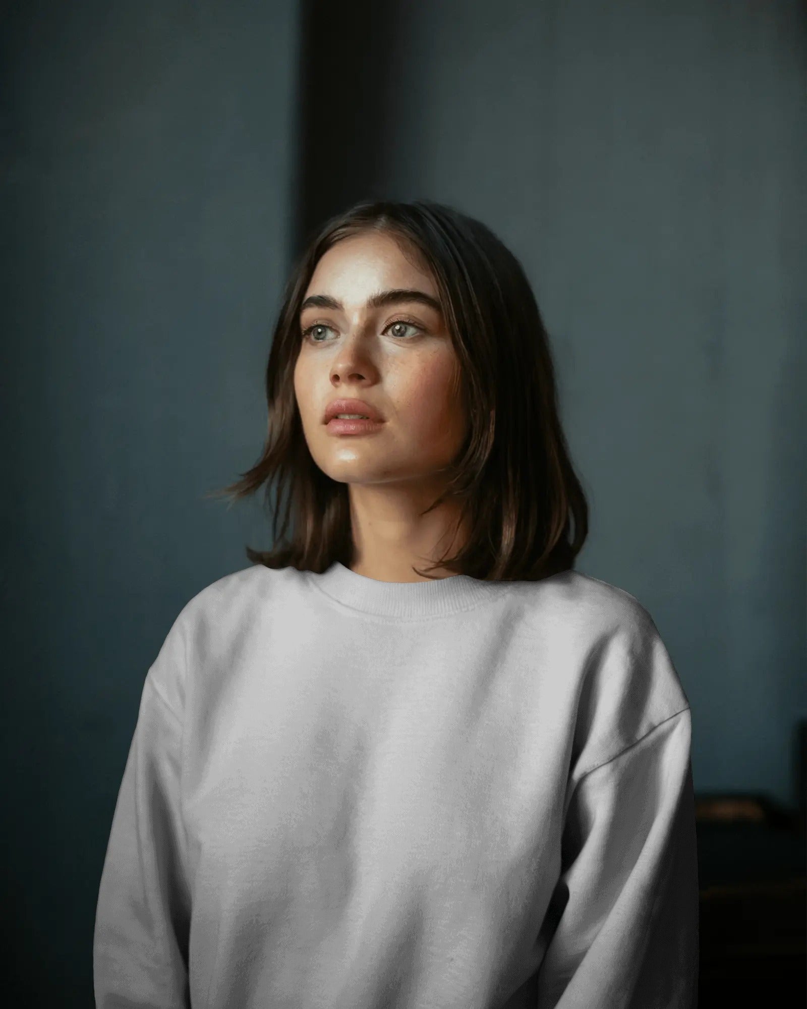 Classic 300 GSM Premium Fleece Sweatshirt [6 Solid Colors]