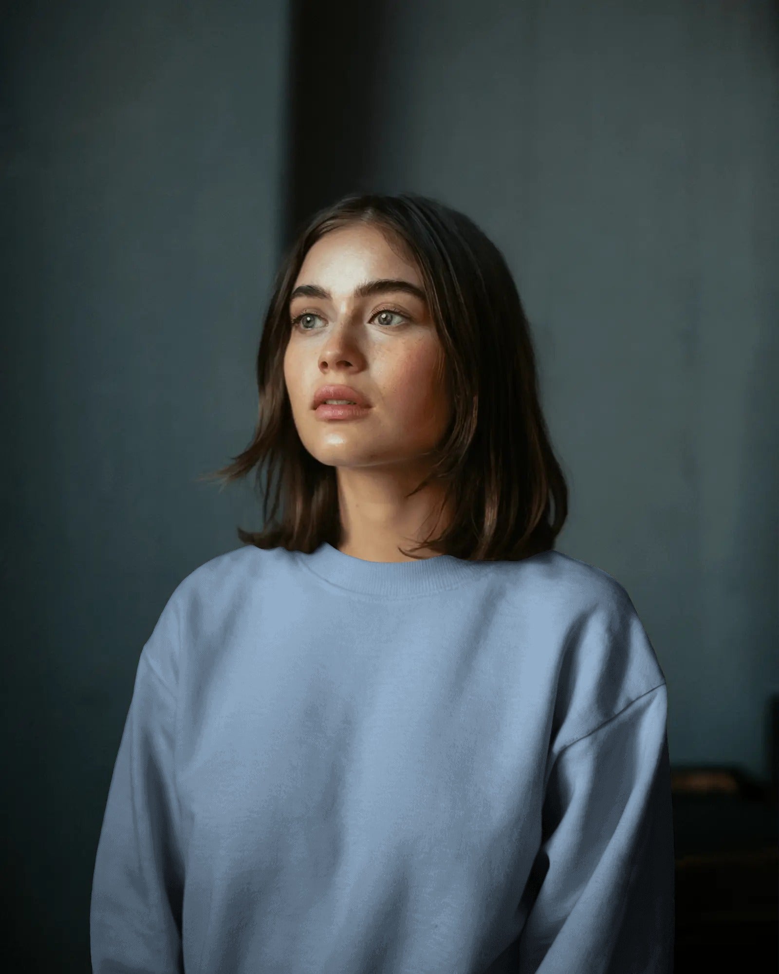 Classic 300 GSM Premium Fleece Sweatshirt [6 Solid Colors]